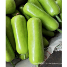 Early mature vegetables green bottle gourd seeds for sale